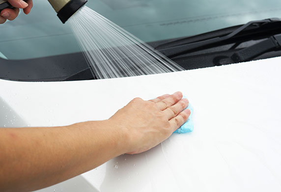 Surface Smoother Mini - Image 2