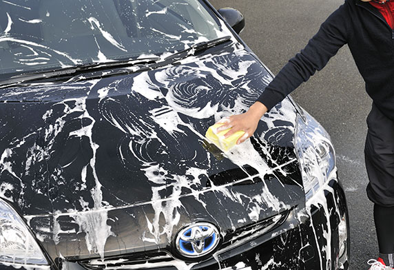 New Scratch Clear Shampoo - Silver & Dark - Image 4